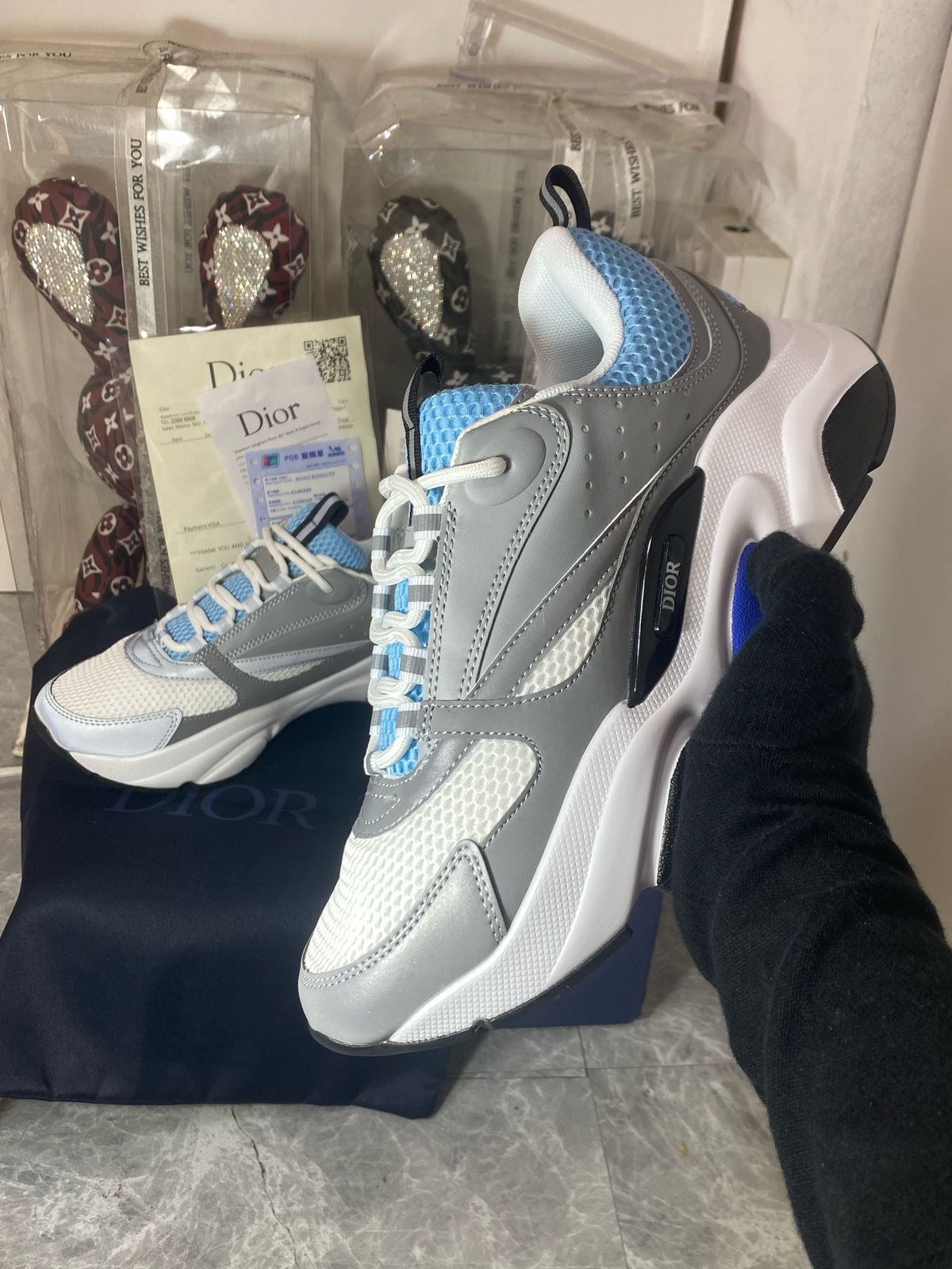 Dior B22