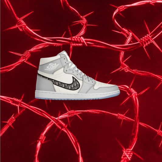 Nike Jordan 1s X Dior