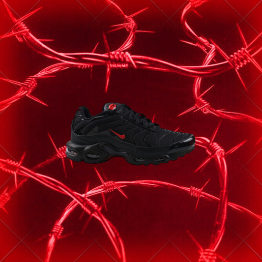 NIKE AIR MAX TN PLUS